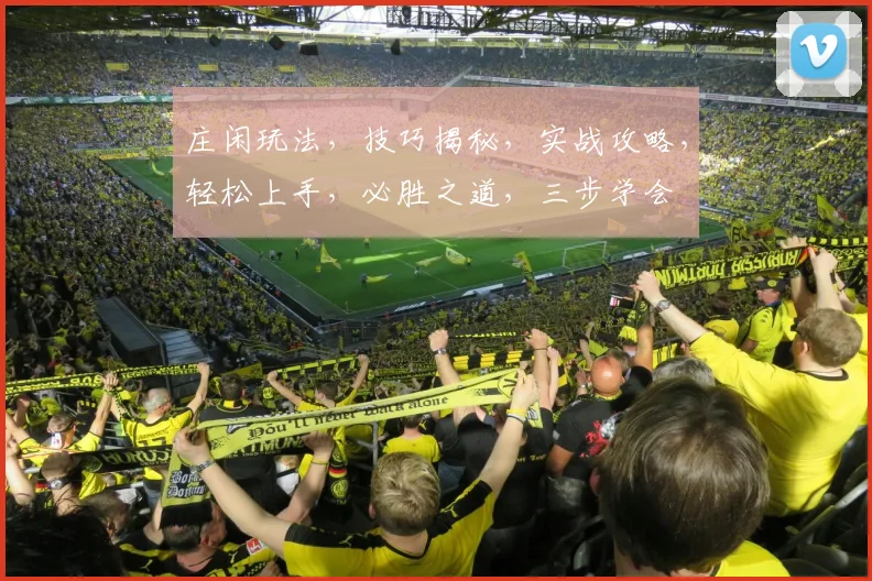 庄闲玩法，技巧揭秘，实战攻略，轻松上手，必胜之道，三步学会