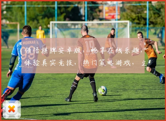 领悟棋牌安卓版，畅享在线乐趣，体验真实竞技，热门策略游戏，立即下载体验
