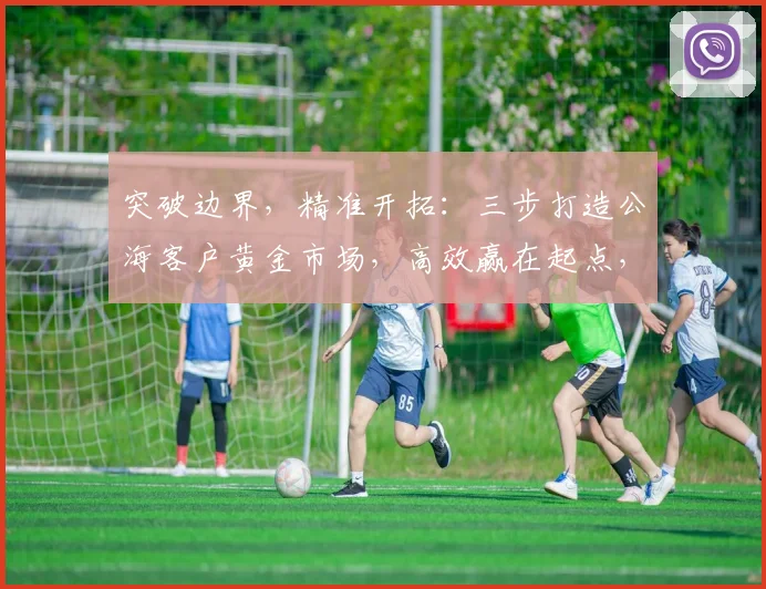 突破边界，精准开拓：三步打造公海客户黄金市场，高效赢在起点，实现业绩飙升