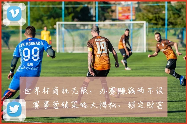 世界杯商机无限，办赛赚钱两不误，赛事营销策略大揭秘，锁定财富之门